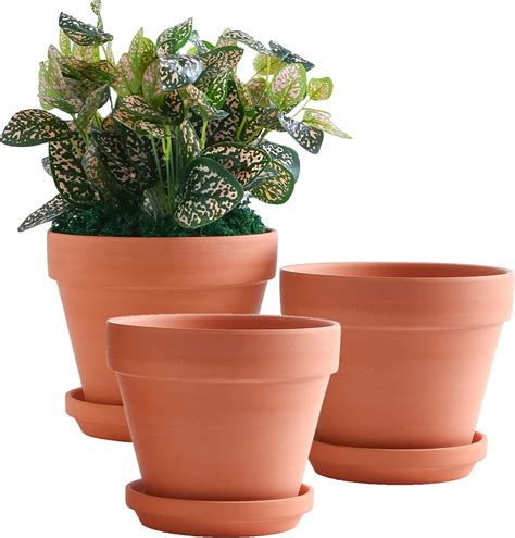 GREENPARA Transparent Plastic Garden Pots Planter with Saucer 45 67 8 inch Plant Pot Nursery Pots Drainage Hole for House Plants, Herb, Flowers, and Cactus with 10pcs Plant Labels, 5-Set. . 8 inch pot with drainage